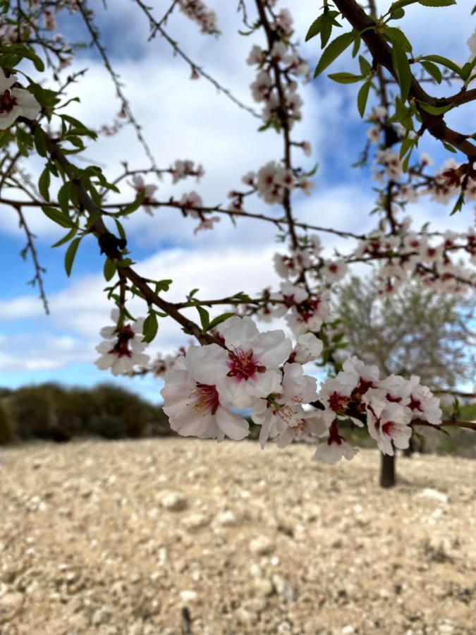 Casa Rural La Bodega Alicante Dış mekan fotoğraf